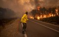 Morocco's Forest Fires Reach 20-Year High in Carbon Emissions, EU Data Shows