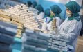 Morocco's Industrial Acceleration Plan Proves Crucial Amid COVID-19 Crisis