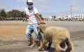 Morocco's Interior Minister Defends Last-Minute Eid Al Adha Travel Ban