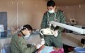 Morocco's King Orders Military Medical Support in COVID-19 Fight