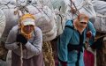Morocco's 'Mule Women' Face Uncertain Future as Border Crossing Closes