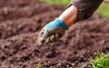 Morocco's OCP Group to Supply 40,000 Tons of Fertilizer to Bangladesh