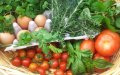 Morocco's Organic Farming Sector Faces Challenges in Global Market Expansion