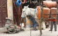 Morocco's Prime Minister Denies Gas Price Hike Rumors, Affirms Subsidy Continuation