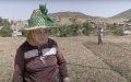 Morocco's Rif Region Grapples with Cannabis Legalization Boom