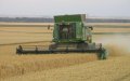 Morocco's State of Emergency Halts Harvest, Threatening Agricultural Losses
