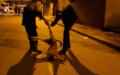 Morocco's Stray Dog Cull Sparks Controversy: 80 Killed in Sidi Ifni Province