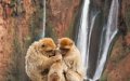 Morocco's Top 10 Natural Wonders Showcase Diverse Landscapes