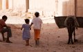 Morocco's Urban-Rural Wealth Gap Widens, National Survey Finds