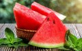 Morocco's Watermelon Exports Surge 295%, Quality Improves