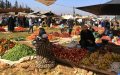 Morocco's Weekly Rural Markets: CESE Urges Reform of Vital Economic Hubs
