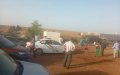 Mysterious Horse Deaths in Morocco Spark Poisoning Investigation