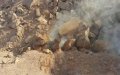 Mysterious White Smoke Puzzles Moroccan Town as Officials Investigate Ground Cracks