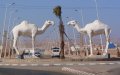 New Economic Zone to Boost Investment in Morocco's Tan-Tan Province