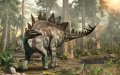 New Stegosaur Species Unearthed in Morocco's Middle Atlas Mountains