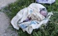 Newborn Twins Abandoned in Moroccan Dumpster; Mother Arrested