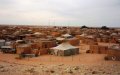NGO Calls for International Probe into Alleged Human Rights Abuses in Tindouf Camps