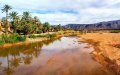 North Africa Grapples with Severe Drought, Morocco Hit Hardest in 30 Years