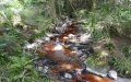 Olive Oil Industry Pollutes Moroccan River, Threatening Local Environment and Livelihoods