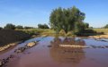 Olive Oil Production Waste Poses Environmental and Safety Hazards in Northern Morocco