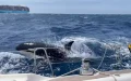 Orca Attack Sinks Sailboat off Moroccan Coast Near Gibraltar Strait
