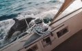 Morocco Investigates Orca Encounters with Fishing Boats, Officials Say Attacks Not Hostile
