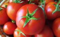 Organic Food Demand Surges in Morocco Amid Health Concerns