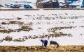 Ouarzazate Unveils Winter Aid Plan as Cold Wave Threatens Amid Pandemic