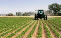 Pesticides Banned in Europe Sold to Morocco