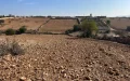 A Plot of Land Received for Free in Morocco Could Cost Him His Social Housing in Belgium