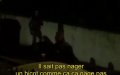 Police Accused of Intimidation After Racist Arrest Video Surfaces in Seine-Saint-Denis