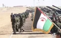 Polisario Front Condemns France, Calls for Exclusion from Western Sahara Peace Process