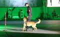 US Praises Morocco's Police Dog Training for Counterterrorism Efforts