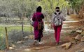 Private Schools in Morocco Defy Government, Opt for In-Person Classes