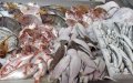Ramadan Approaches as Fish Prices Surge in Morocco, Sparking Political Action