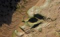 Rare 70-Centimeter Dinosaur Footprints Discovered in Morocco's Atlas Mountains