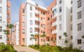 Real Estate Market in Morocco Faces Sharp Decline Amid Health Crisis