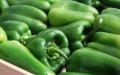 EU Recalls Moroccan Peppers Over Banned Pesticide Contamination