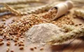 Russia Reclaims Top Spot as Morocco's Wheat Supplier, Ukraine Absent