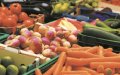 Russia Turns to Morocco and Turkey for Food Imports Amid China Supply Disruption