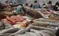 Russian Seafood Imports from Morocco Plummet, Octopus Demand Surges