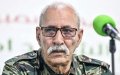 Sahara Stalemate: Polisario's Peace Proposal Challenges Morocco's Autonomy Plan