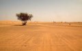 Sahrawi Youth Dies in Desert as Group Attempts Escape from Tindouf Camps to Morocco