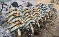 Sardine Prices Skyrocket in Morocco, Sparking Consumer Outrage