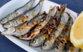 Sardine Prices Skyrocket in Morocco, Impacting Households and Industry
