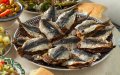 Sardine Prices Soar in Morocco, Putting Traditional Staple Out of Reach for Many
