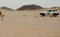 UN Security Council Extends Western Sahara Mission, Recognizes Morocco's Efforts