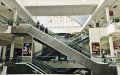Security Guard Arrested After Tear Gas Incident at Fez Shopping Center