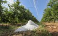 Severe Hailstorm Devastates 9,000 Hectares of Farmland in Morocco's Fès-Meknès Region