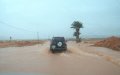 Severe Thunderstorm Warning Issued for Multiple Moroccan Provinces